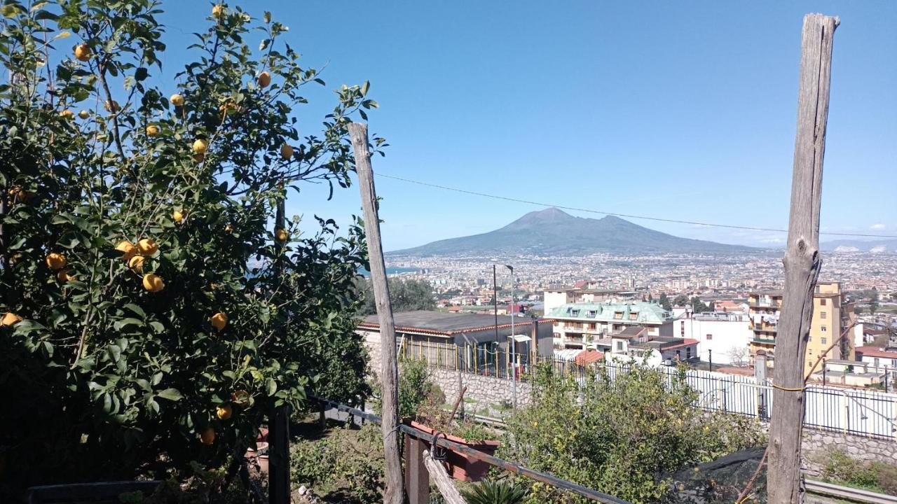 B&B Il Limoneto Gragnano Εξωτερικό φωτογραφία