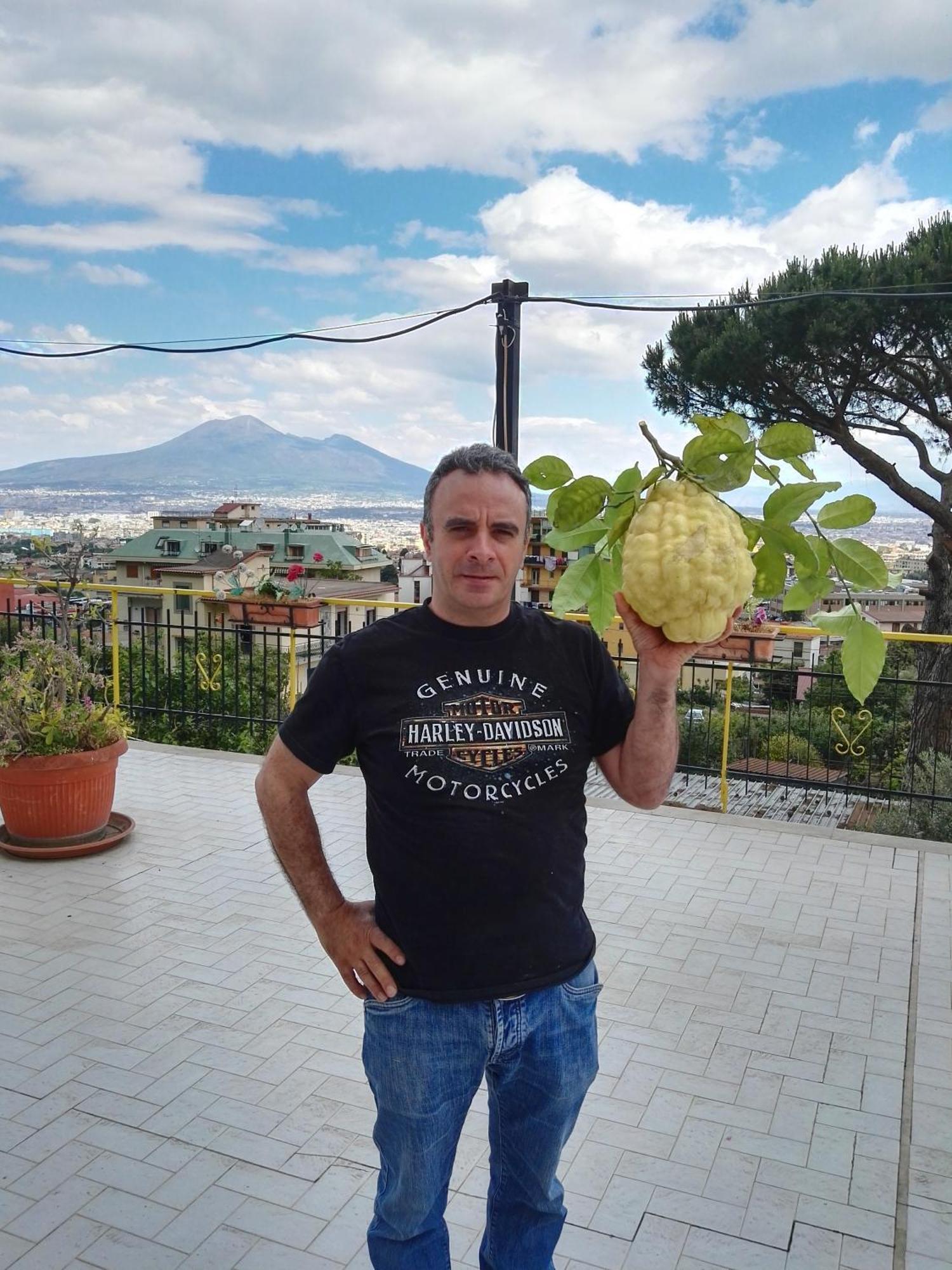 B&B Il Limoneto Gragnano Εξωτερικό φωτογραφία
